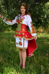 Український національний костюм для жінок №110 (FS-0110), 40