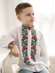 Стильная вышитая рубашка для мальчиков с длинными рукавами (S-096-01-D), 26, тиар
