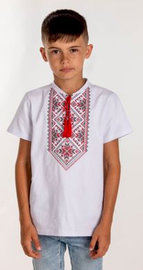 Вышитая футболка для мальчика (FM-6023), 152, хлопок