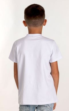Вышитая футболка для мальчика (FM-6023), 152, хлопок