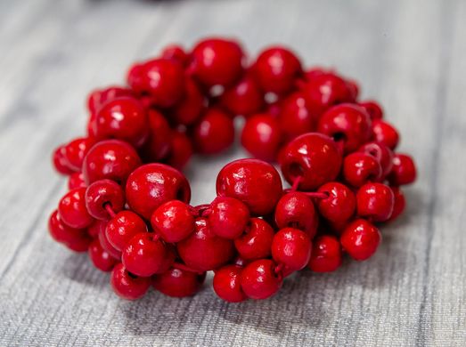Набор красные бусы и браслет для девочек и женщин (OS-5817)