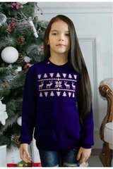 Cиній светр з оленями для дівчаток (FM-0238), 110, бавовна