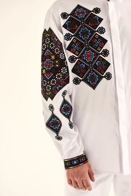 Чоловіча вишита сорочка з довгими рукавами (S-123-01), 40, тіар