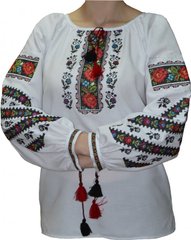 Борщевская орнаментированная вышиванка из домотканого полотна для женщин (GNM-00869), 42