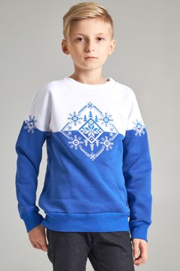 Різдвяний світшот для хлопчиків Сніжинка (UKRS-6619), 110, трикотаж