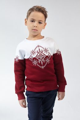 Різдвяний світшот для хлопчиків зі сніжинками (UKRS-6615), 110, трикотаж