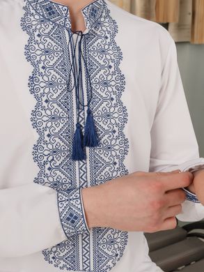 Стильна чоловіча вишита сорочка з довгими рукавами (chsv-73-01), 40, льон