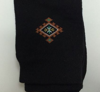 Шкарпетки чоловічі з вишивкою (М01-123)