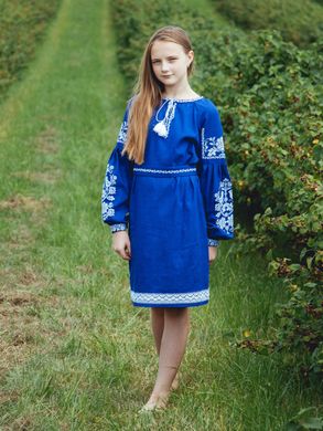 Неймовірно красиве вишите плаття синього кольору (gpv-69-01), 26, льон, тіар