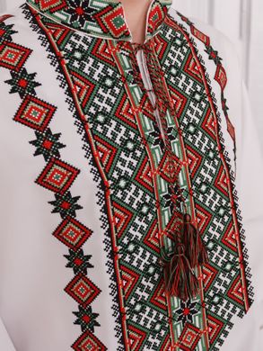 Стильна чоловіча вишита сорочка з довгими рукавами (chsv-88-01), 26, льон