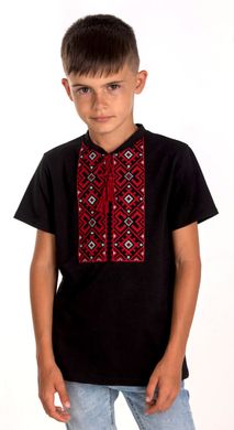 Вышитая футболка для мальчика (FM-6020), 152, хлопок