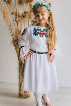 Вишита сукня з пташками для дівчат (D-142-01-d), 26, тіар, шифон