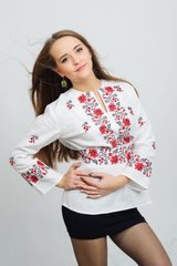 Вишивана жіноча блуза яскрава "Ружа" (chk-7006), 40, льон