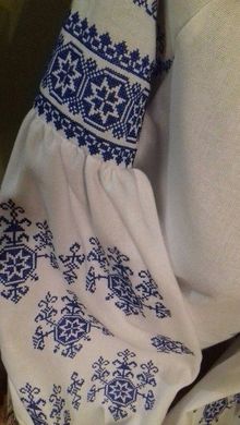 Полотняная белая вышиванка с орнаментом синего цвета "Родная" для женщин (GNM-01870), 40, домотканое полотно белое