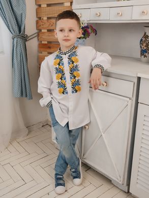 Стильна вишита сорочка для хлопчиків з довгими рукавами (S-120-01-D), 26, віскоза