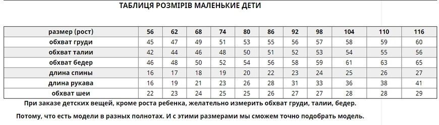 Чудовий синьо-білий костюм "Волошкові мрії" з вишивкою для дівчаток (KSs-557-017-O), 110