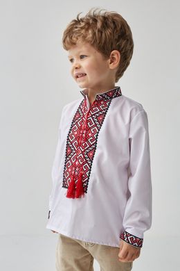 Вышиванка подростковая белая с красной вышивкой "Орнамент" (mrg-kh001-8888), 5, сорочковая