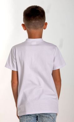 Вышитая футболка для мальчика (FM-6021), 122, хлопок