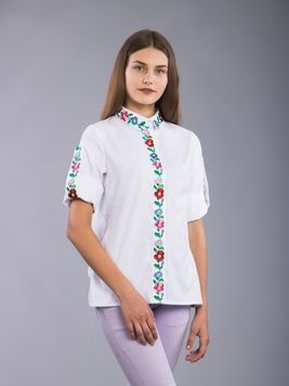 Неймовірно красива жіноча вишита блузка (gbv-42-01), 40, домоткане полотно, льон