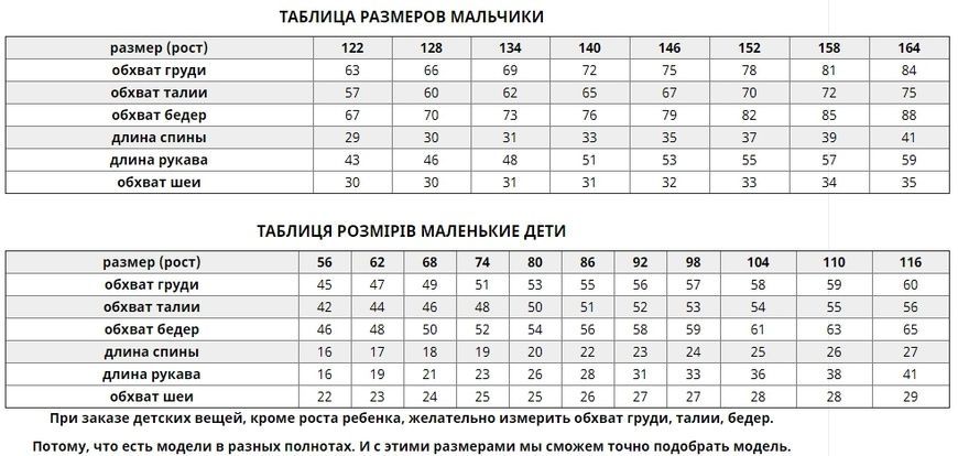 Традиційна біла вишиванка "Стиль" із льону з червоно-чорним орнаментом для хлопчиків (SRd-451-112-L), 116