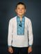 Контрастна українська вишиванка з синьо-чорним орнаментом із полотна для хлопчиків або юнаків (chsv-17-04-d), 26, льон