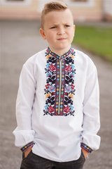 Стильна вишита сорочка для хлопчиків з довгими рукавами (S-126-01-D), 26, льон