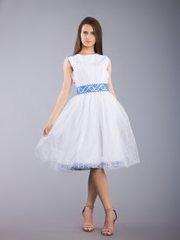 Чарівна жіноча вишита сукня (gpv-67-01), 40, льон, тіар