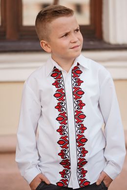Стильная вышитая рубашка для мальчиков с длинными рукавами (S-086-01-D), 26, тиар