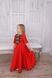 Вышитое детское красное платье (D-112-01-D), 26, тиар