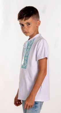 Вышитая футболка для мальчика (FM-6022), 152, хлопок