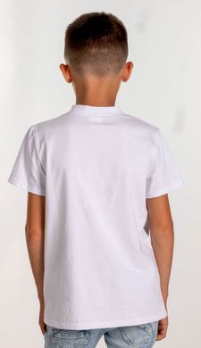 Вишита футболка для хлопчика (FM-6022), 152, бавовна