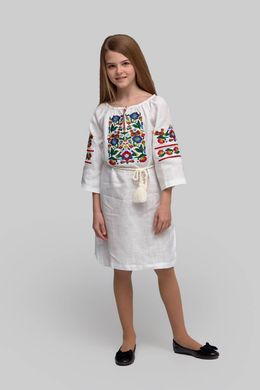 Вишита сукня вишиванка для дівчинки White 3 UKR-0212, 140