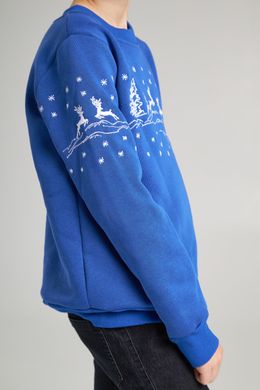 Рождественский синий свитшот с оленями для мальчиков (UKRS-6620), 152, трикотаж