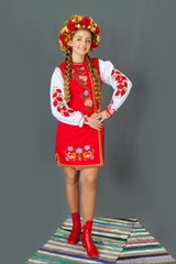 Украинский национальный костюм для женщин №32 (FS-0032), 42