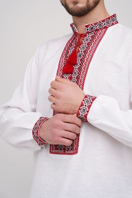 Вышитая сорочка мужская Степивка - ручная вышивка (00189), 42, бавовна