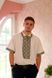 Лляна чоловіча сорочка з вишивкою ручної роботи "Щит Перуна" (GNM-00937), 38, льон натурального кольору