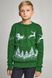 Вязаный зеленый с оленями свитер для мальчика (UKRS-6628), 122, шерсть, акрил