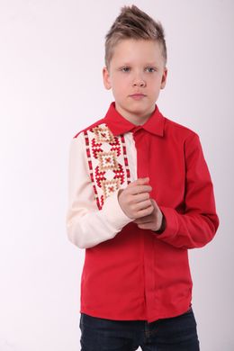 Вишиванка для хлопчика червоного кольору "Райдуга" (SRd-454-123-О), 116