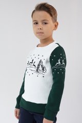 Рождественский свитшот для мальчиков с оленями (UKRS-6614), 110, трикотаж