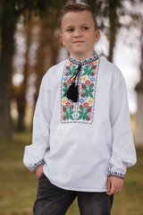 Стильная вышитая рубашка для мальчиков с длинными рукавами (S-097-01-D), 26, домотканое полотно