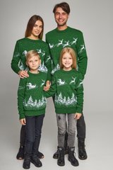Сімейні зелені светри з оленями (UKRS-8845-9944-6628-6628), шерсть, акрил