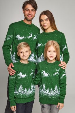 Семейные зеленые свитера с оленями (UKRS-8845-9944-6628-6628), шерсть, акрил