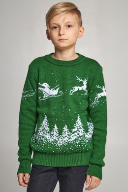 Семейные зеленые свитера с оленями (UKRS-8845-9944-6628-6628), шерсть, акрил